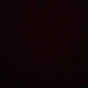 Meet your Posher, Bruce